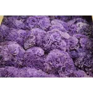 BUQUE LISIANTHUS CORELLI LAVENDER