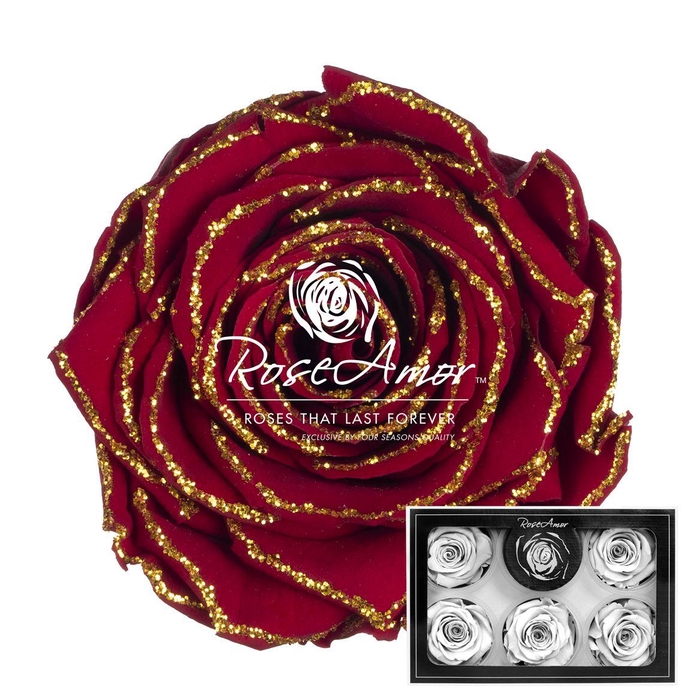 <h4>Xl Glitter Gold Red01</h4>