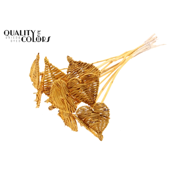 <h4>Lata Heart 8cm on stem Hat type Apricot</h4>