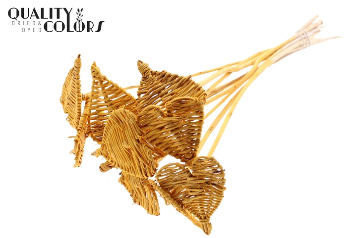 Lata Heart 8cm on stem Hat type Apricot