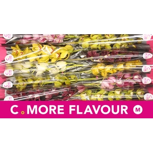 Mini cymbidium 'Mix 60 cm'