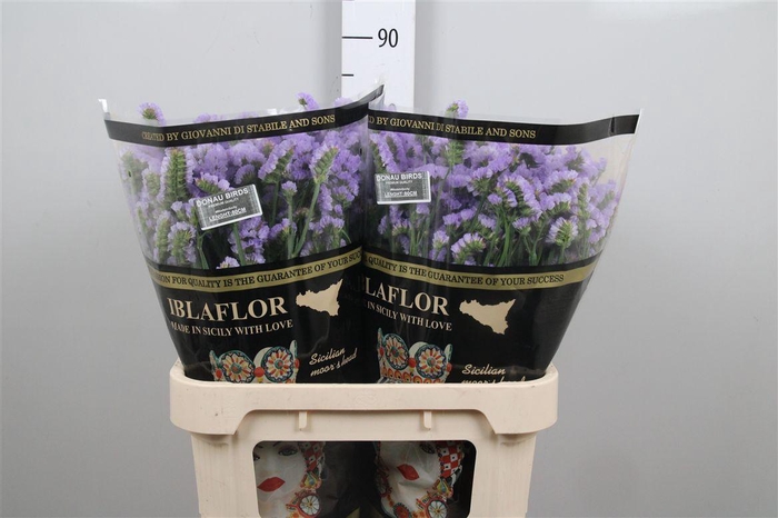 <h4>Lim S Donau Birds</h4>