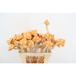 Stick Mushroom Lotus Yellow