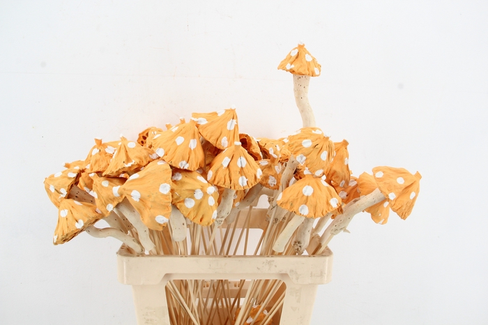 <h4>Stick Mushroom Lotus Yellow</h4>