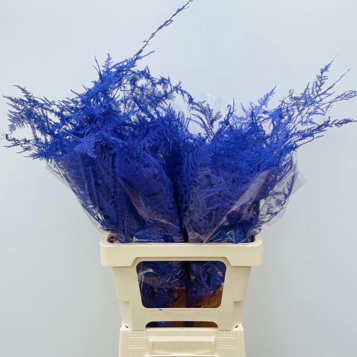 <h4>ASP OV KLB H%</h4>