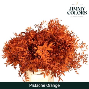 Pistache L45 Orange