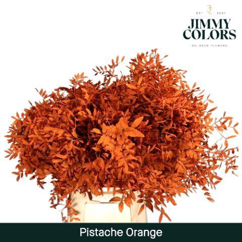 <h4>Pistache L45 Orange</h4>