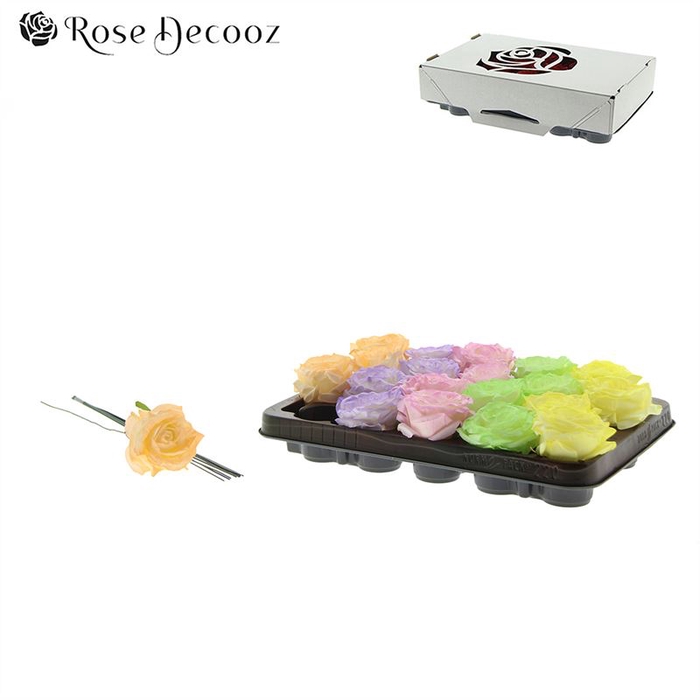 <h4>Roos Zijde Decoz Pastel</h4>