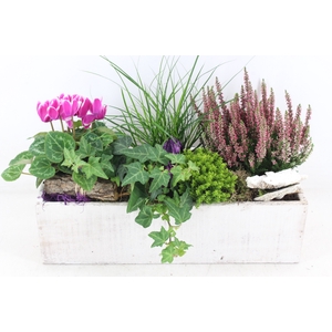 arr4 Outdoor VL - Kist wit 5pl
