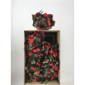 Dr Bqt Primavera Dry Red Rosso