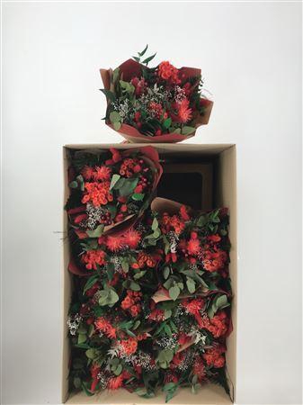 <h4>Dr Bqt Primavera Dry Red Rosso</h4>