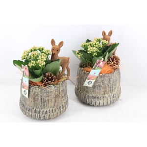 arr2 JS - Ker. herfst pot staand