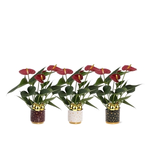 Anthurium Diamond Red in Sparkle ceramics + stabber