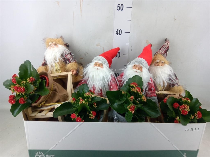 <h4>Arr.    Planten  H%</h4>