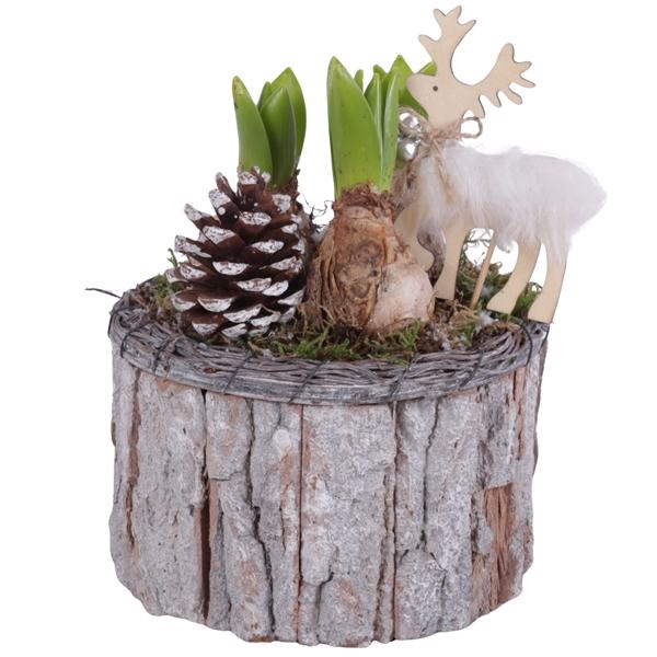 <h4>Christmas Arr. Hyacint Wooden Pot Round Bark Salim Ø15cm 3PP</h4>