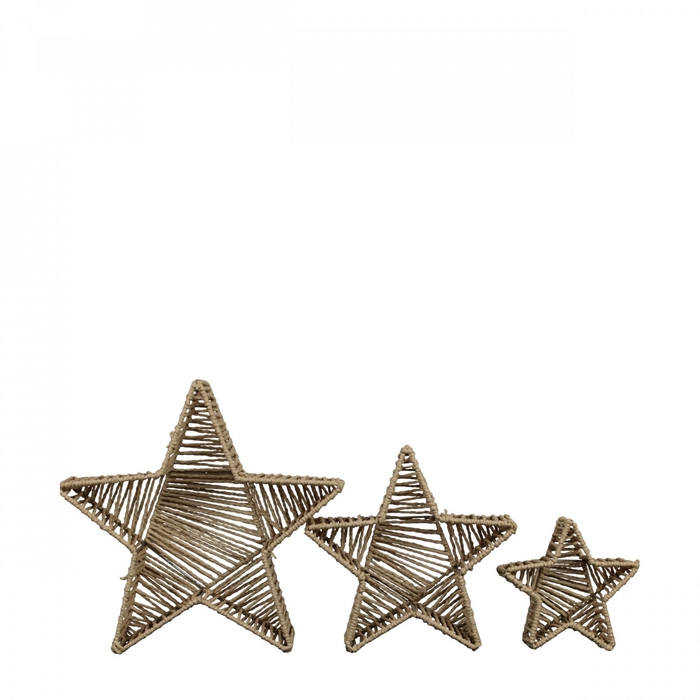 <h4>Kerst Tray ster S/3 d38*9.5cm</h4>
