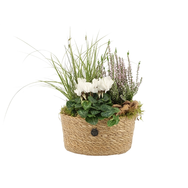 <h4>41468: Autumn Outdoor arrangement</h4>