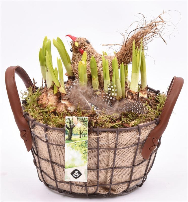 <h4>Gaasmand met jute 21x15.5cm</h4>