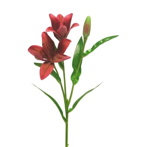 Lilium Buscar spray red 53cm