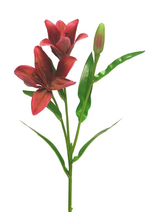 <h4>Lilium Buscar spray red 53cm</h4>