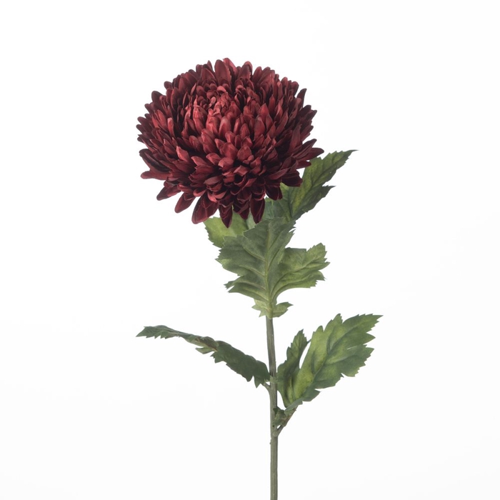 <h4>AF Chrysanthemum L75cm Red</h4>