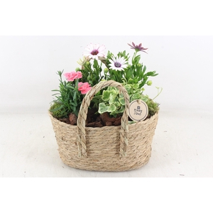 arr4 Outdoor PL - Mand tas 334/4