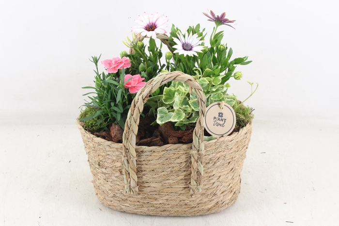 <h4>arr4 Outdoor PL - Mand tas 334/4</h4>