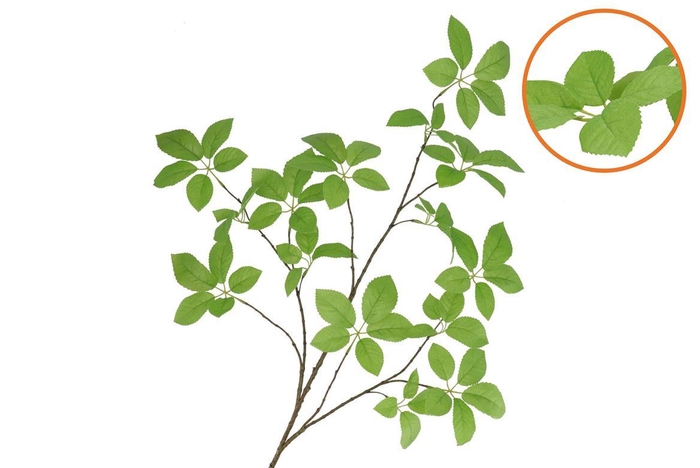 <h4>Silk Leaf Elder Green 124cm Nm</h4>