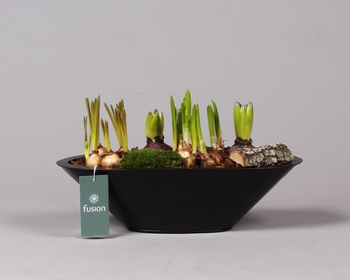 <h4>Metalen bootvorm pot met</h4>