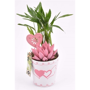 Keramiek pot met hart decor 11CM