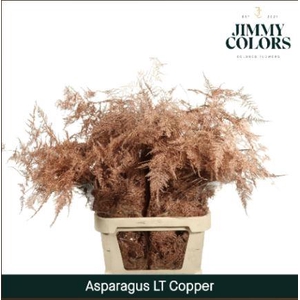 Aspa Lang Getopt + Glitter Koper + Glitter