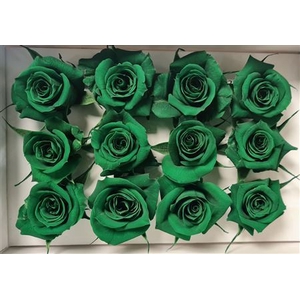 Ro Pres.. Green Dark (4cm)