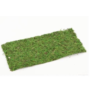 Dried articles Moss sheet 38*18cm