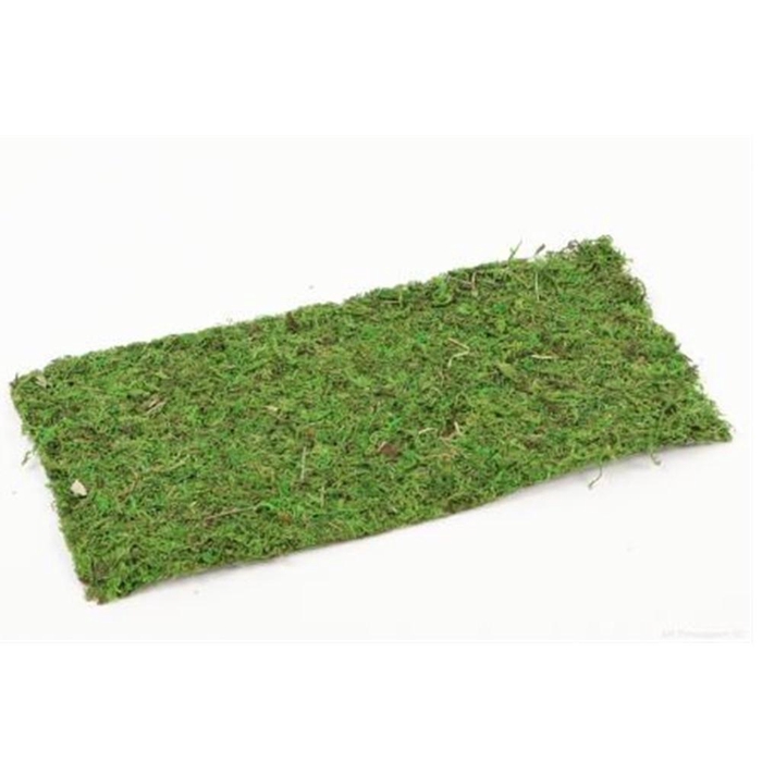 <h4>Dried articles Moss sheet 38*18cm</h4>
