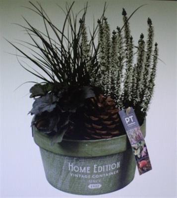 <h4>4190 ROND GROEN HOME EDITION</h4>