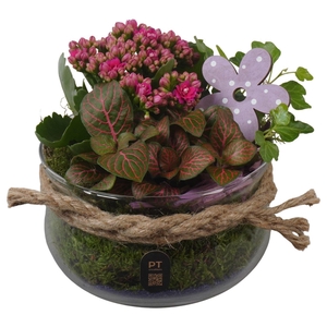 Arr.    Planten  L%
