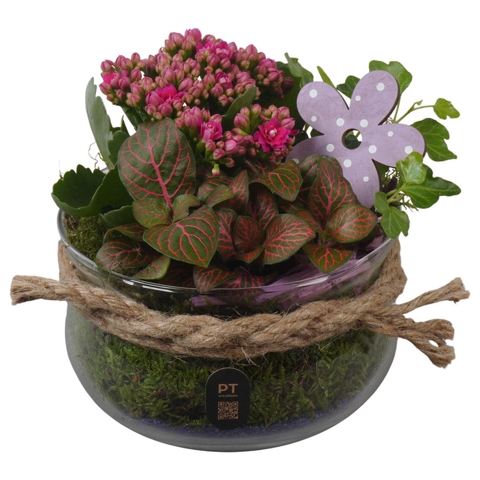 <h4>Arr.    Planten  L%</h4>