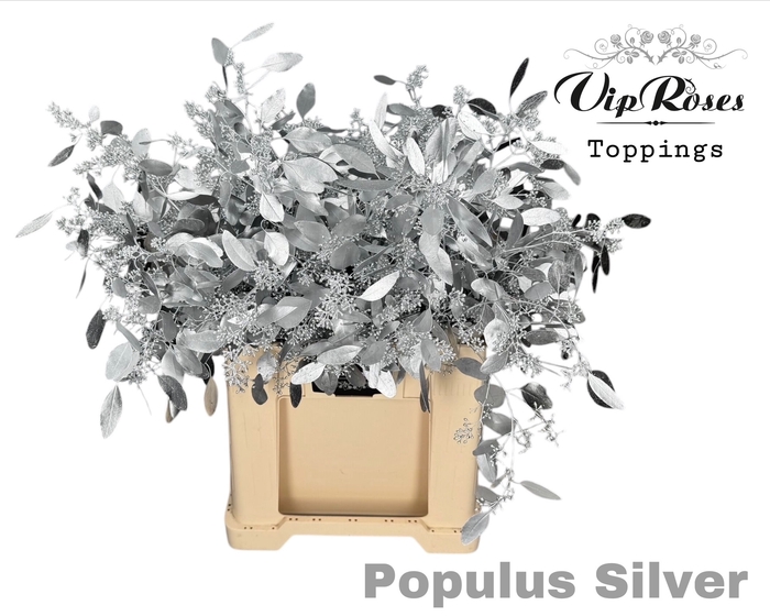 <h4>EUCA POPULUS BES SILVER</h4>