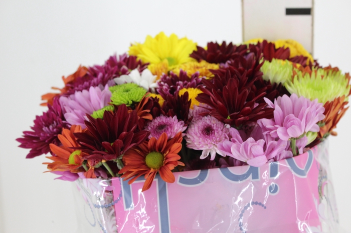 <h4>CRIS MISTO ESPECIAL 070 CM</h4>
