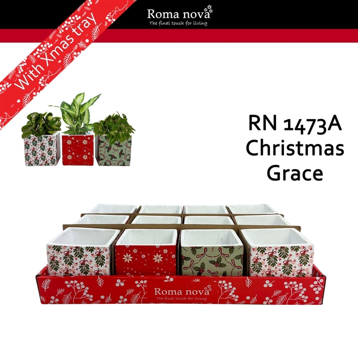 <h4>Decoratieve materialen   ...H%</h4>