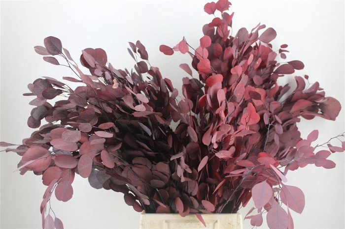 <h4>Pres Populus Red 150gr P Bunch</h4>