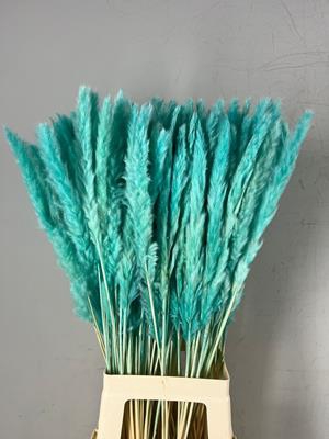 <h4>Df Pampas Silvy Bs 10pc Mint</h4>