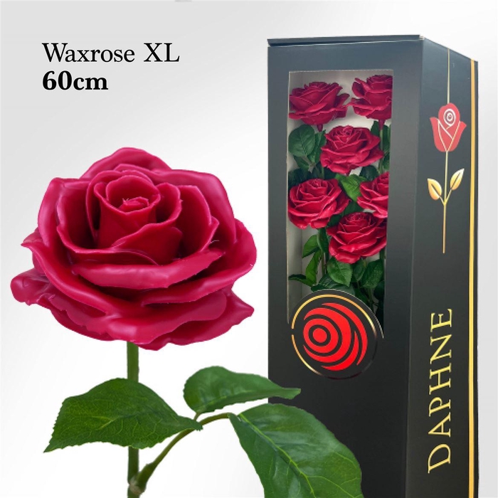 <h4>Wax Rose Xl Cerise 60cm</h4>