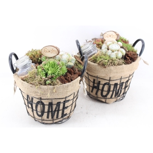 arr4 Semp MB - Jute/gaas home mand 344/3