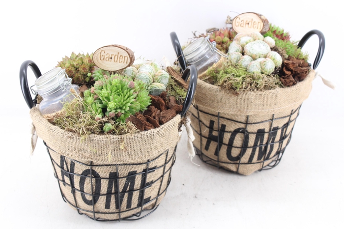 <h4>arr4 Semp MB - Jute/gaas home mand 344/3</h4>