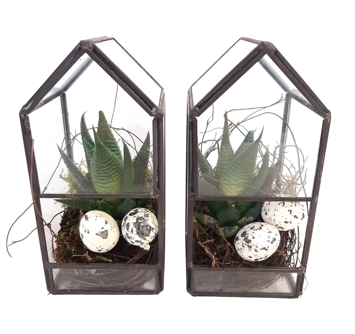 <h4>GHK8PAS Glass House Mini Terrarium Pasen</h4>