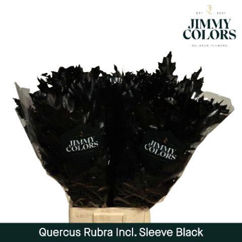 <h4>Quercus Rubra sleeve L80 Black</h4>