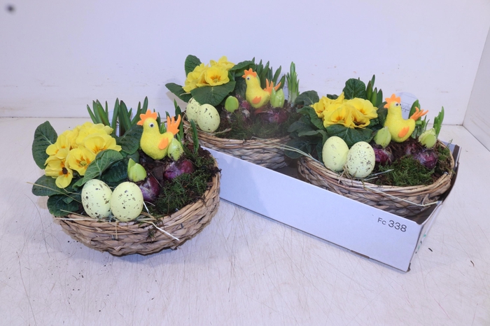 <h4>ARR TUINPLANTEN</h4>