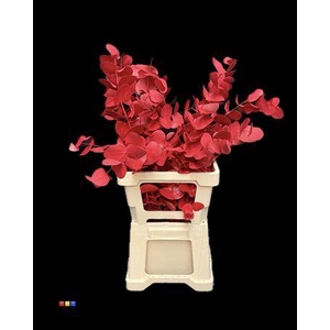 Cinerea Red