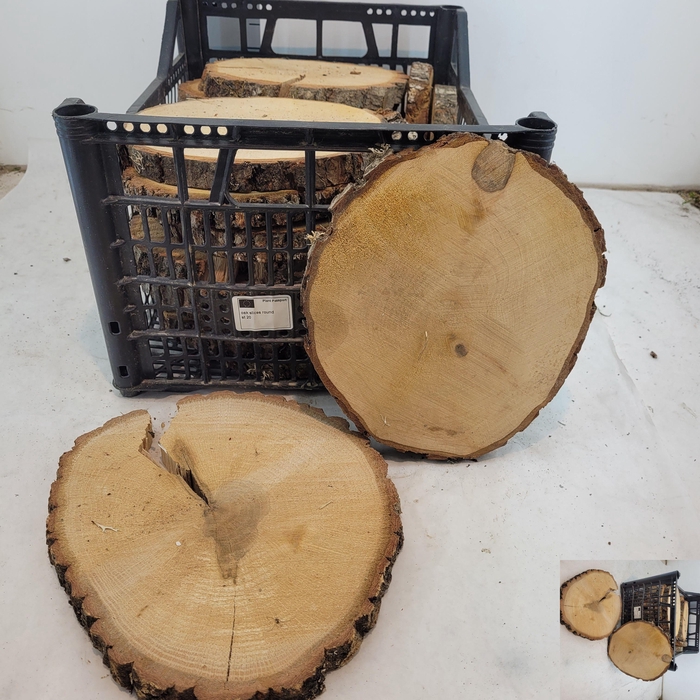 <h4>HUIS EN TUINDECO OV</h4>